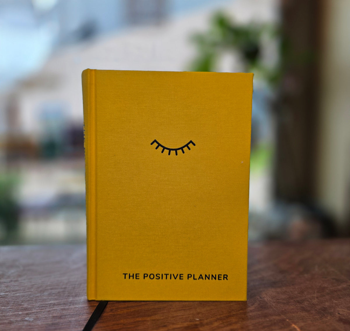 The Positive Planner