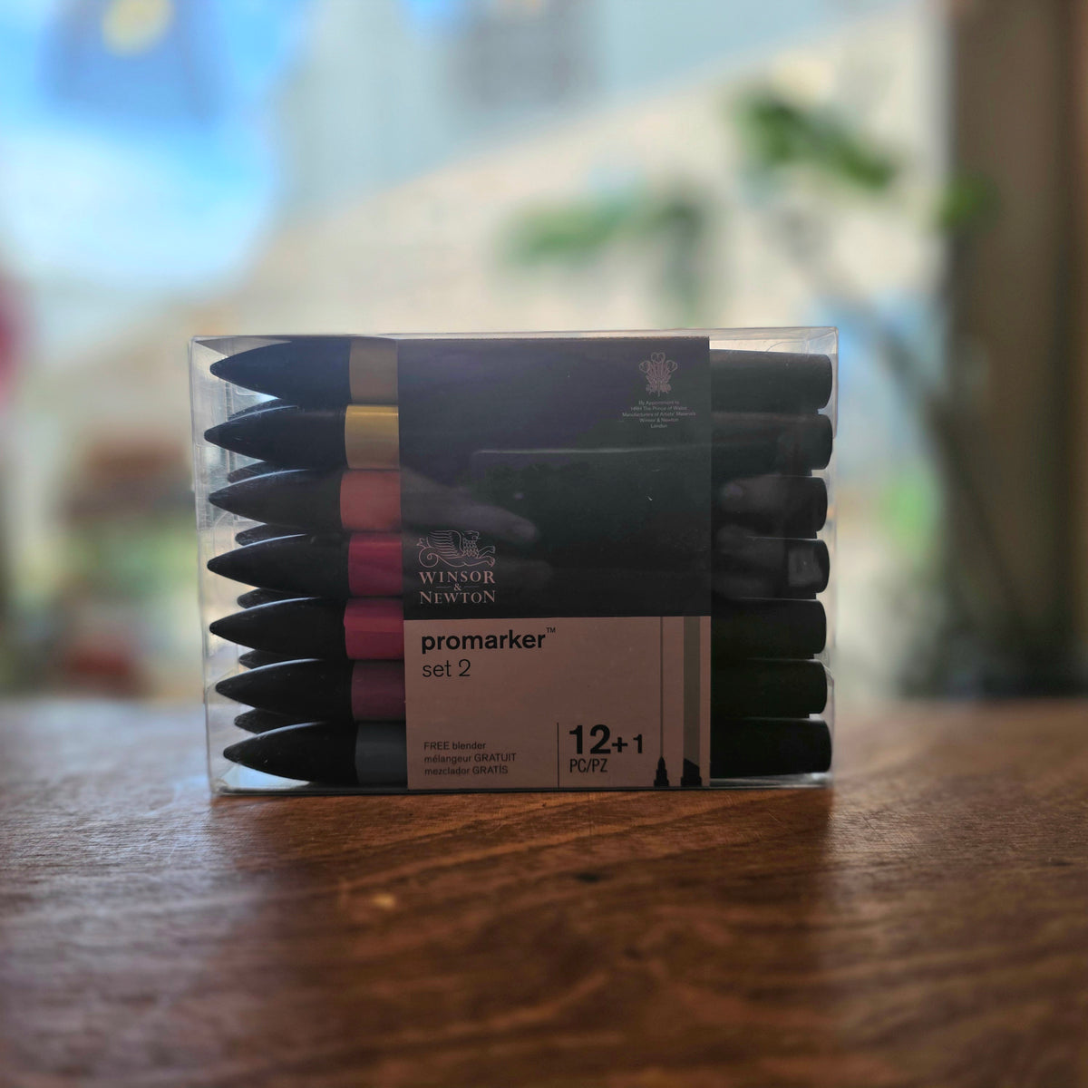Vibrant Promarker 12 Set